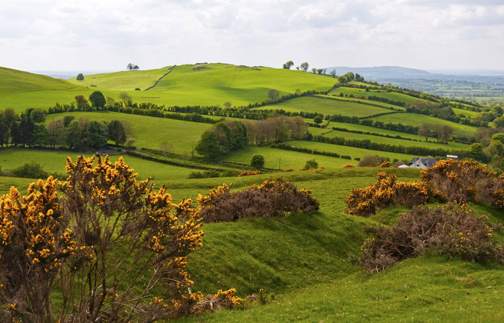 Familjeyogaretreat med bara andas, Irland