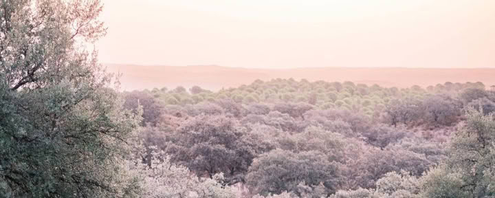 Kundaliniyogaretreat