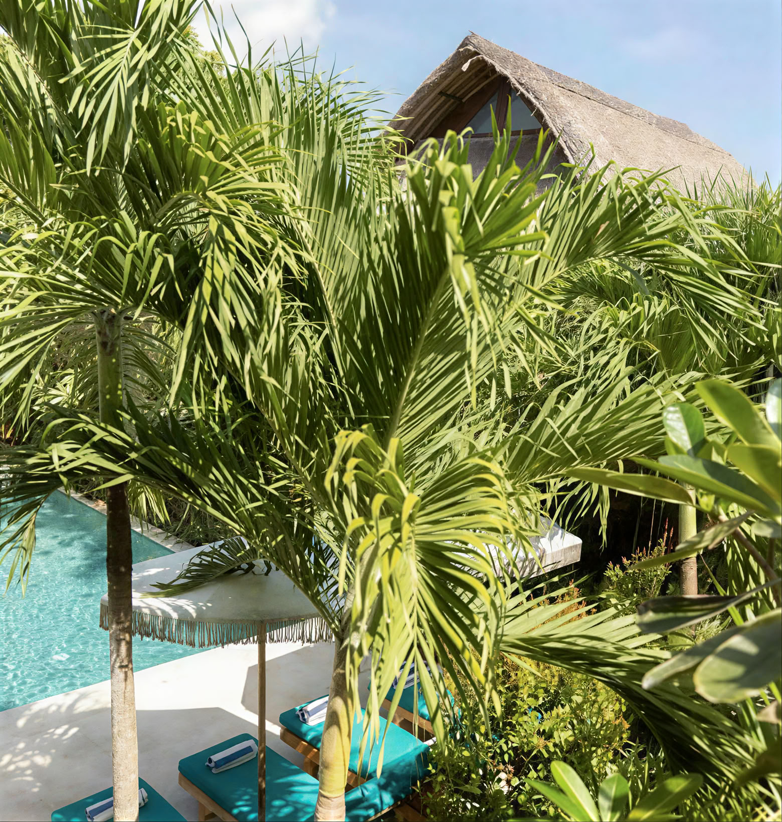 Bali ljudhealingutbildning