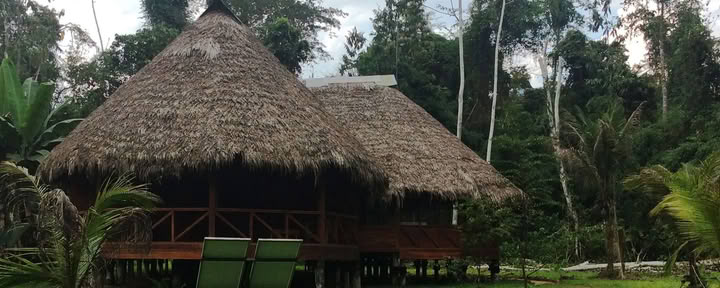 11 dagars retreat