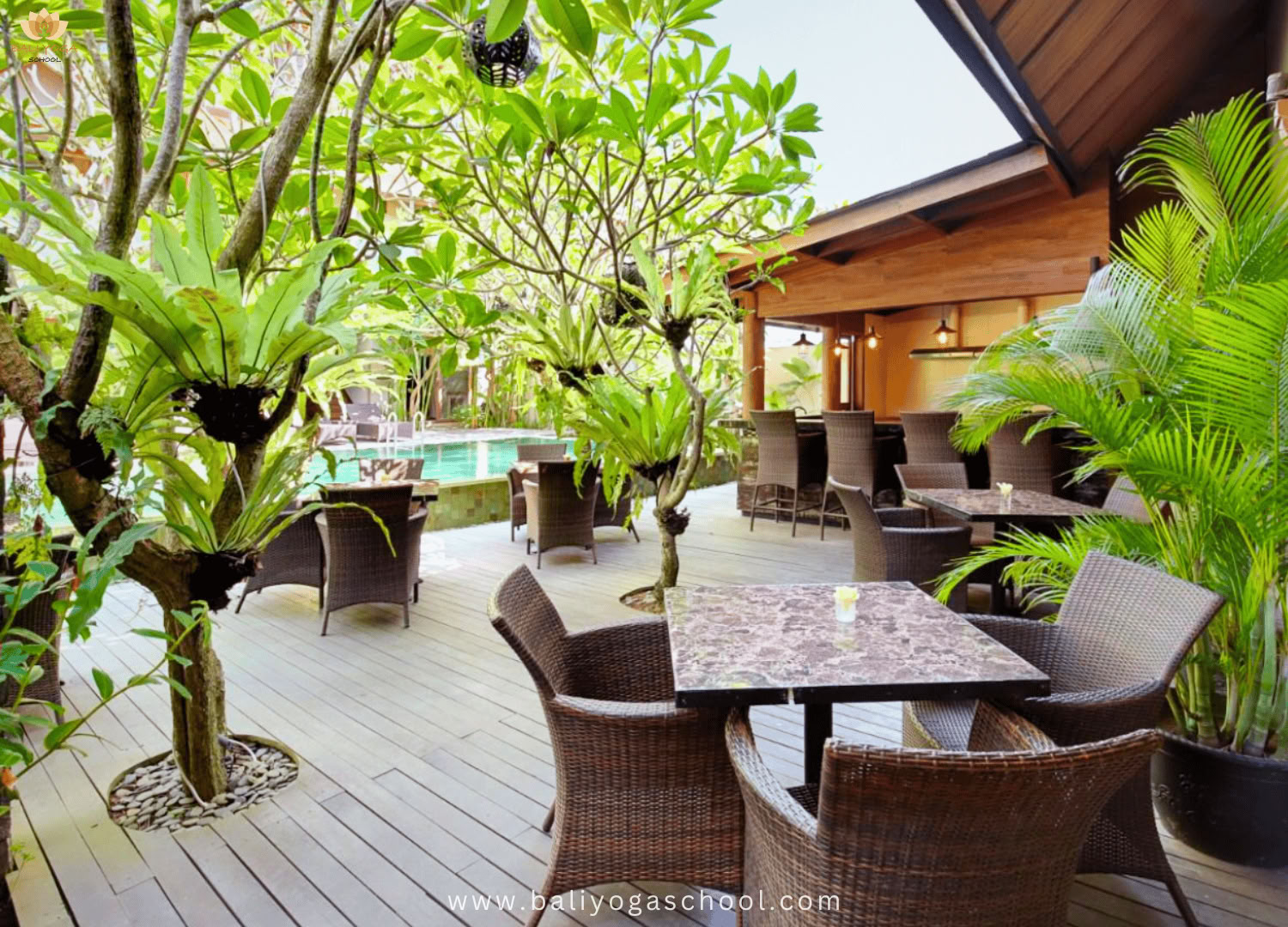 50 / 100 / 200 timmars yogalärarutbildning i Ubud och Uluwatu