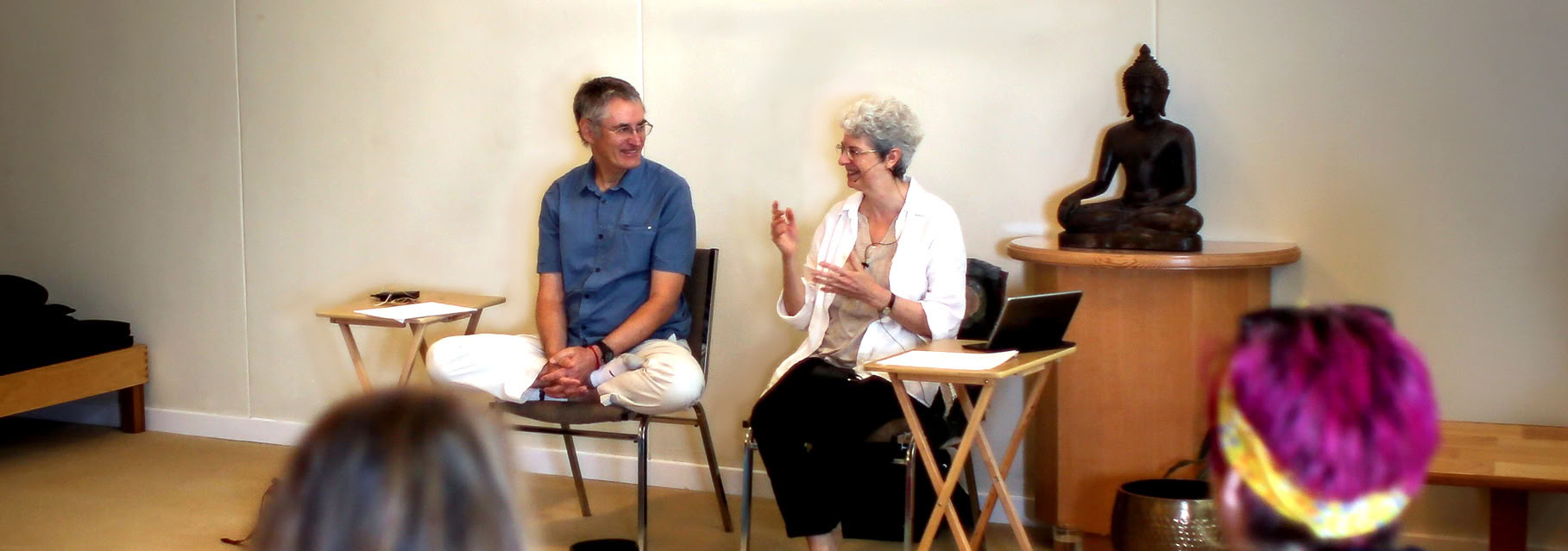 Dharma mentorutbildningsprogram