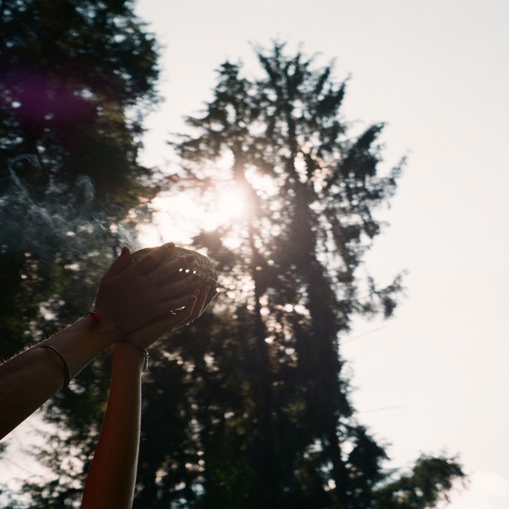 Holistisk sparetreat: Bastusystrar