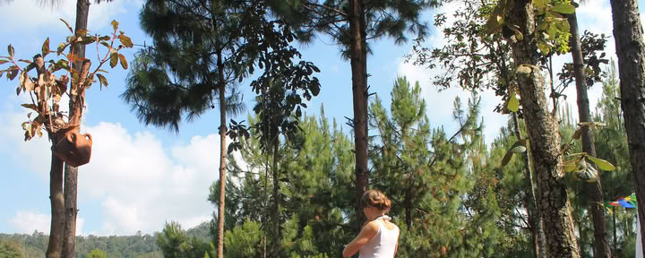 10 dagars tyst meditationsretreat Hridaya