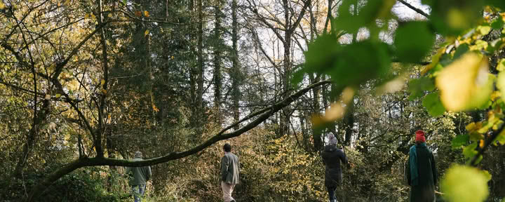 Skattjakt i skogen