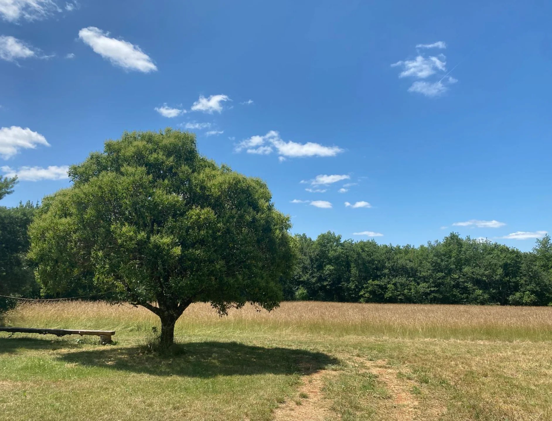 Helande yoga- och meditationsretreat