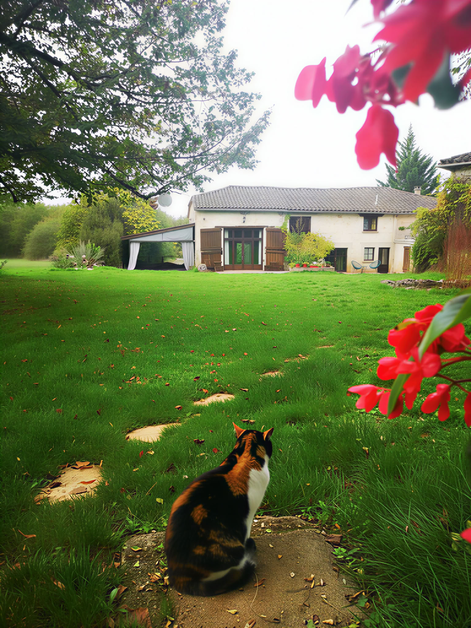 Helande yoga- och meditationsretreat