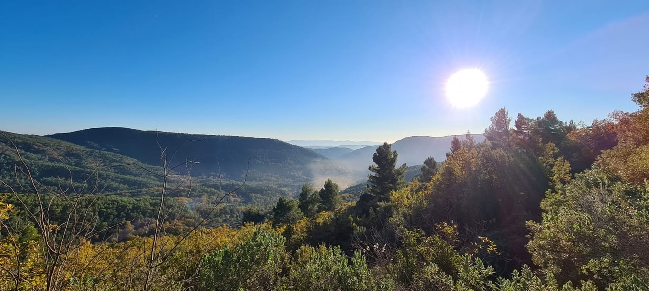 Detox-retreat