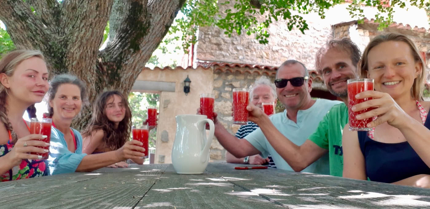 Detox juice-retreat