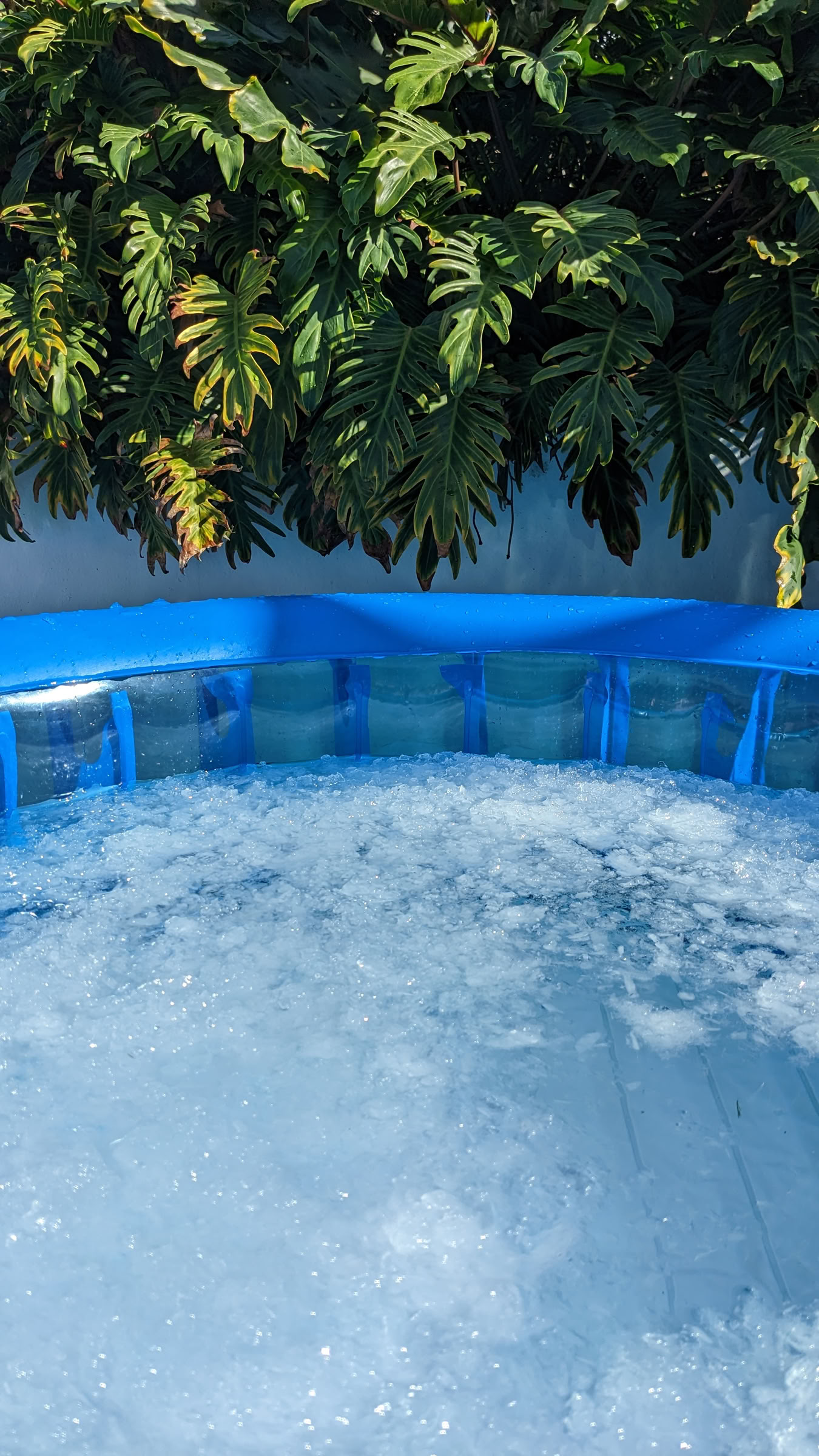 Wim Hof-metoden Fuerteventura