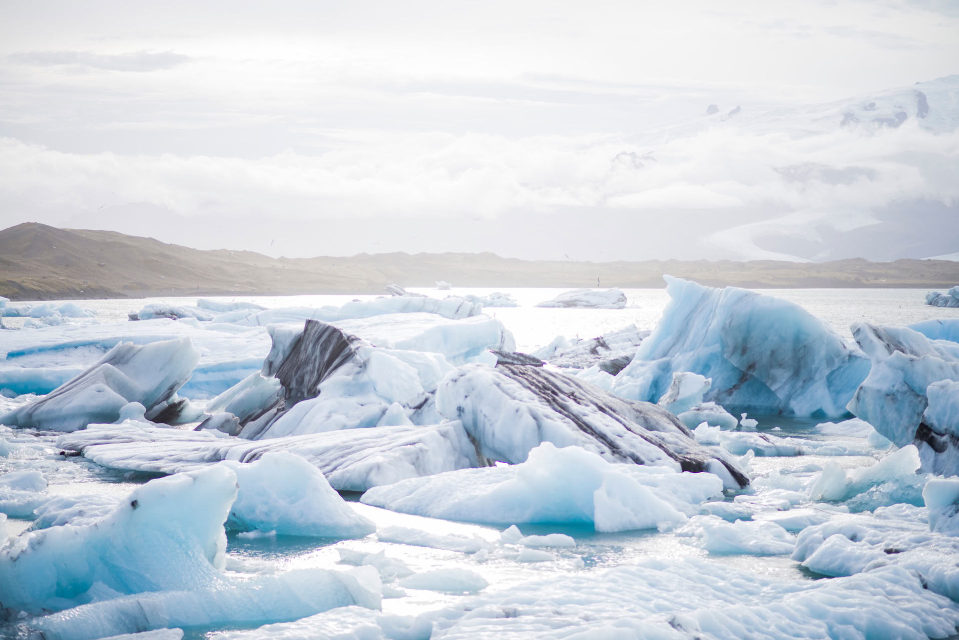 Kallterapi – glaciärvandring. WHM