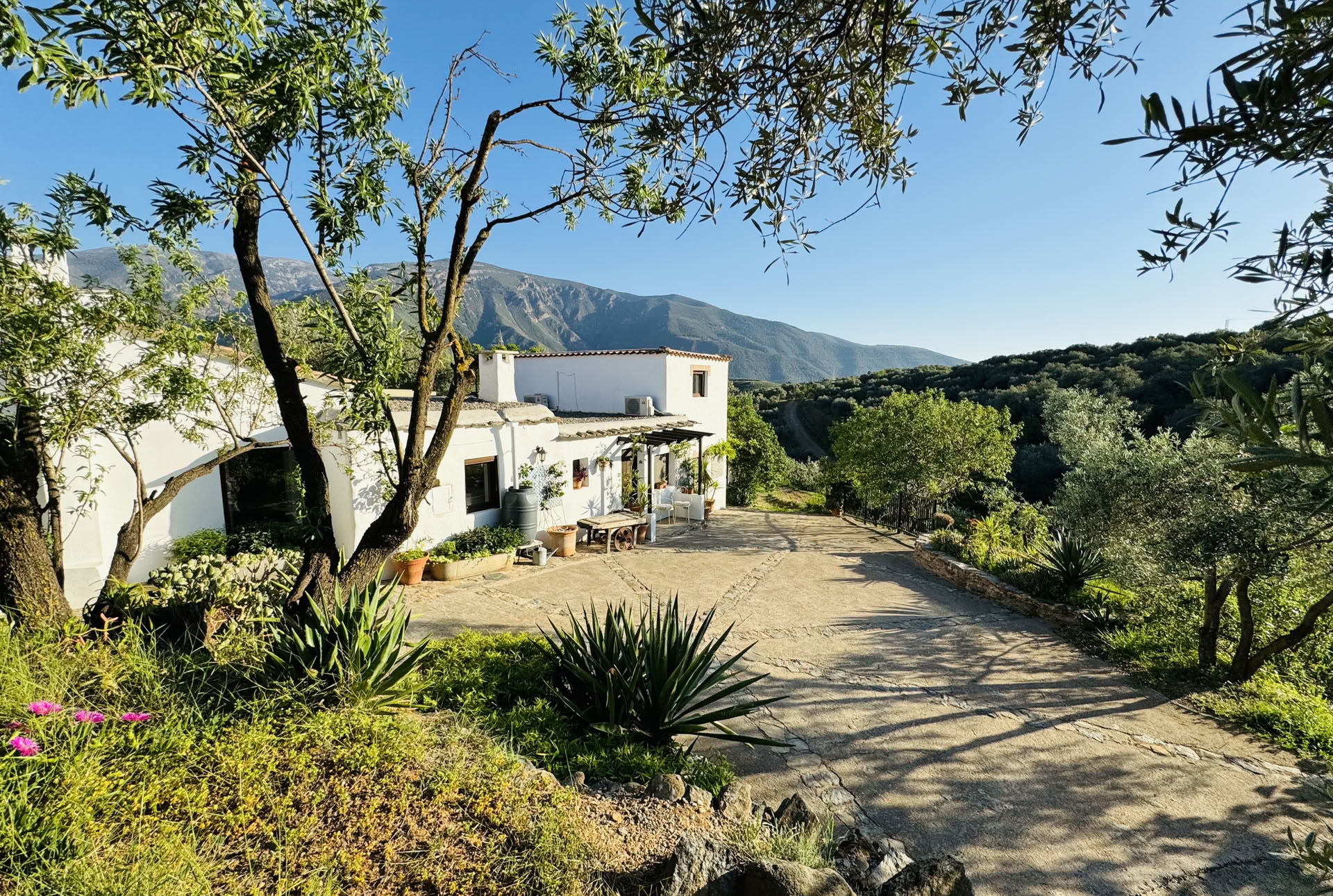 6-dagars natur- och yogaretreat