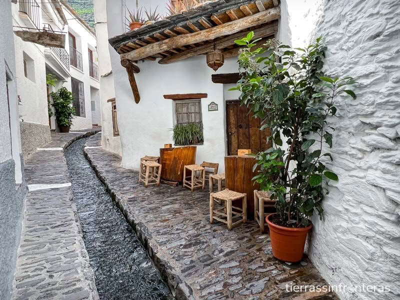6-dagars natur- och yogaretreat