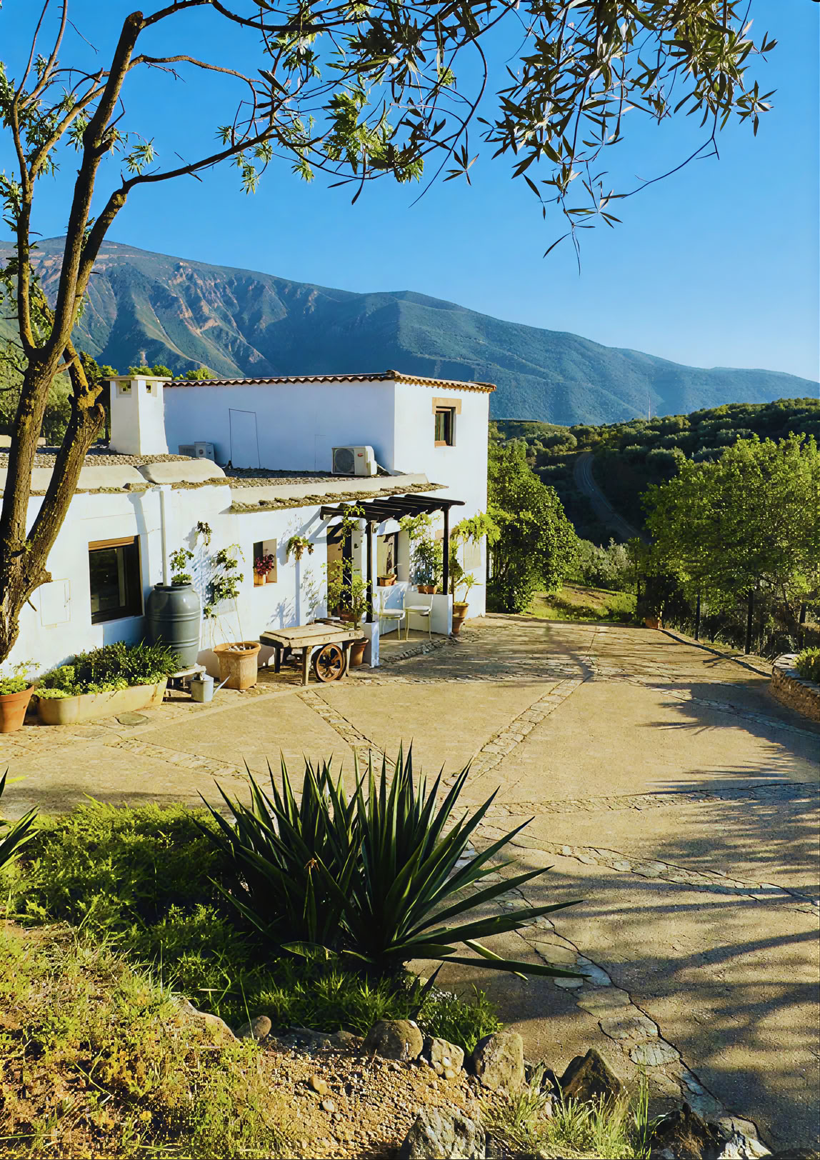 6-dagars natur- och yogaretreat