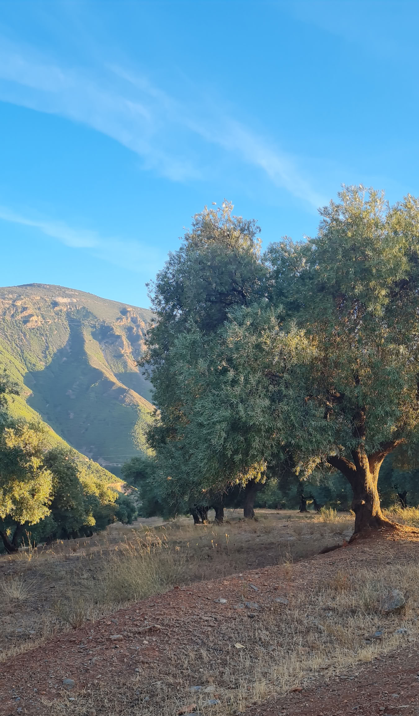 6-dagars natur- och yogaretreat