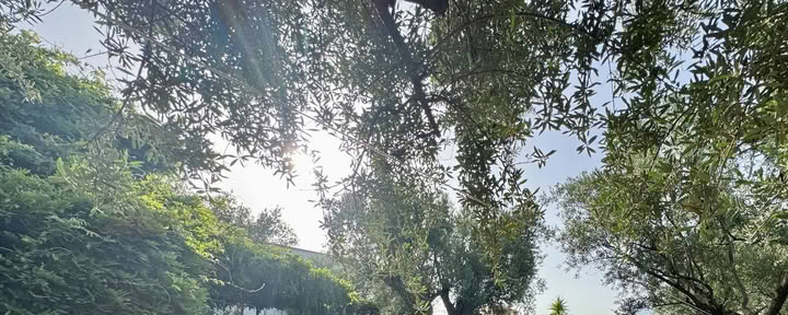 7-dagars återknytnings- och återbalanseringsyogaretreat i Orgiva, Spanien
