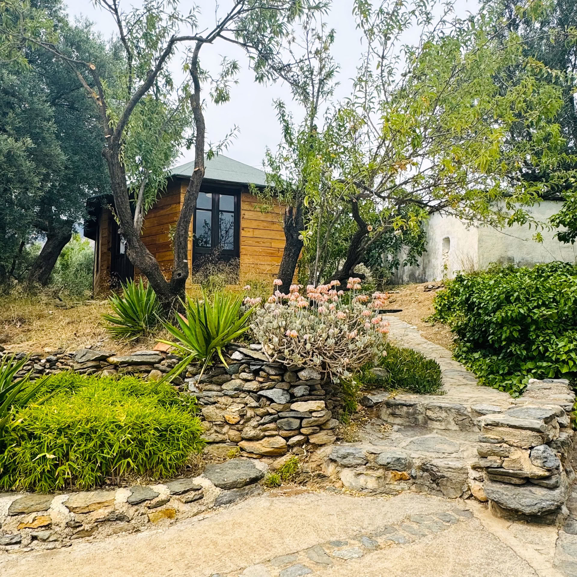 Yogaretreat i Spanien