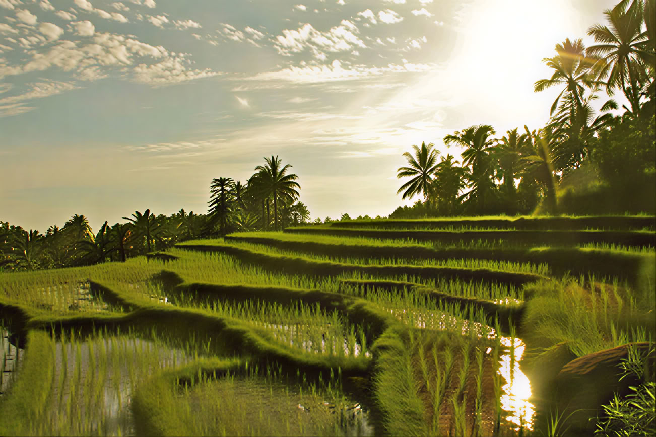 Yoga-retreat på Bali