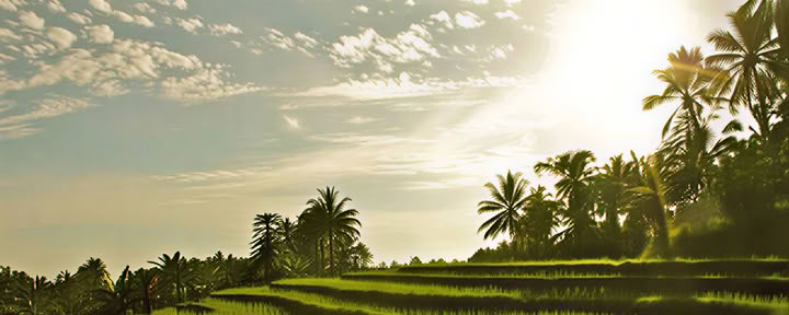 Yoga-retreat på Bali