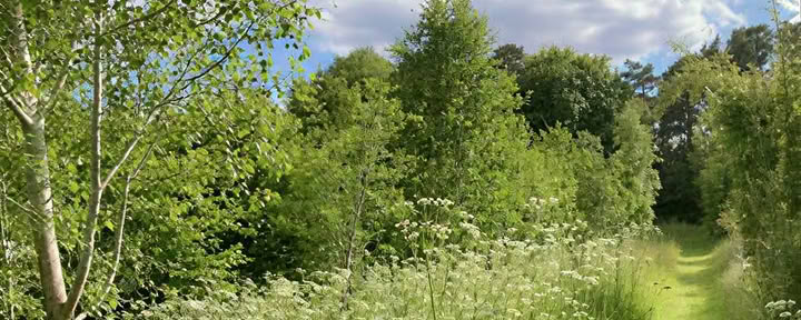 Meditationsretreat: Att bara vara