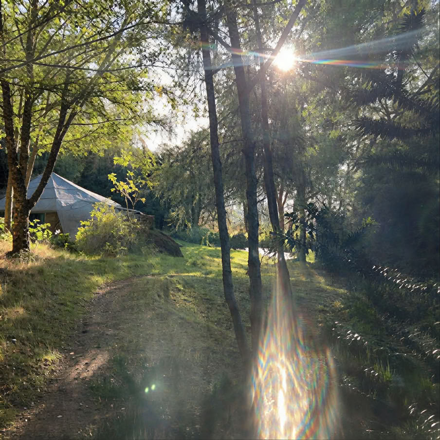 Alternativ julretreat