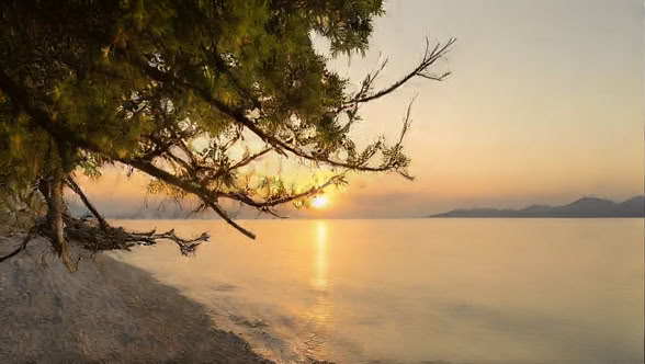 Detoxretreat