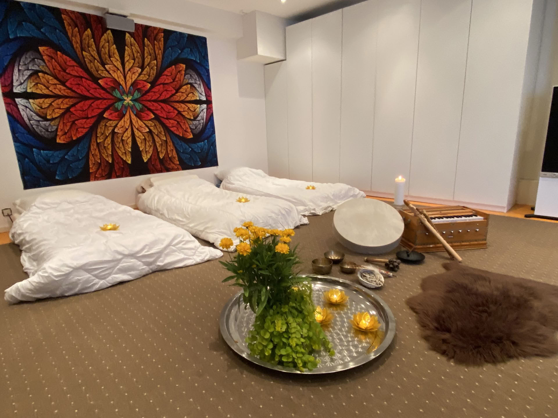 Privat ayahuascasession
