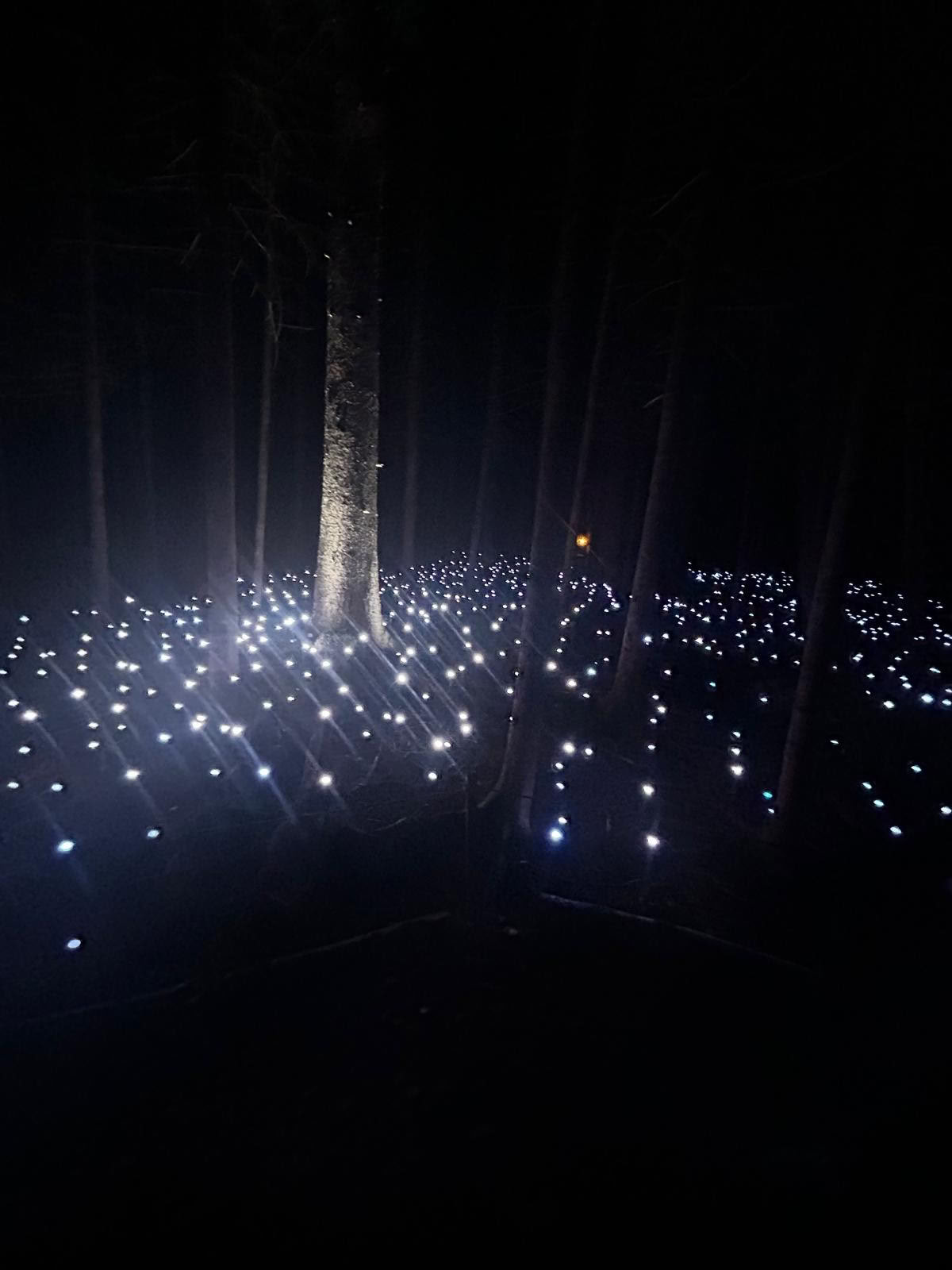 Akadi Lumina-glampingupplevelsen