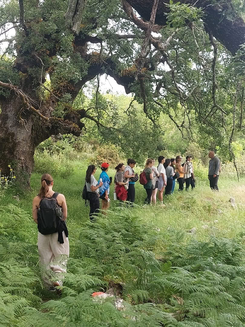 Tai Chi Qigong-retreat