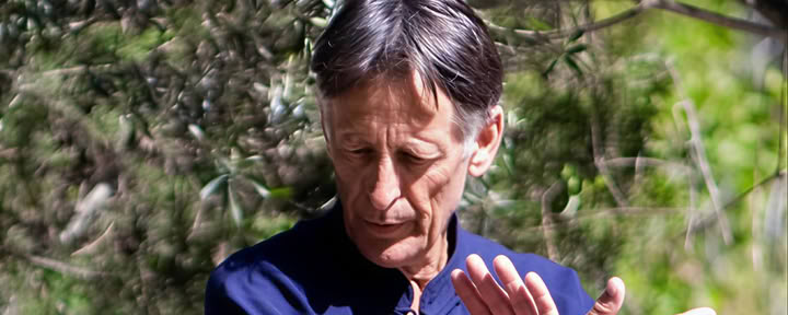Tai Chi Qigong-retreat