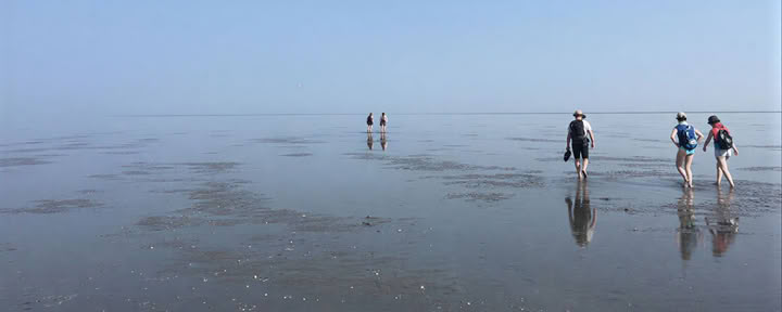 Arbetsretreat (med Wadwalk)