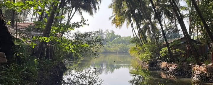 Yogaretreat i Goa