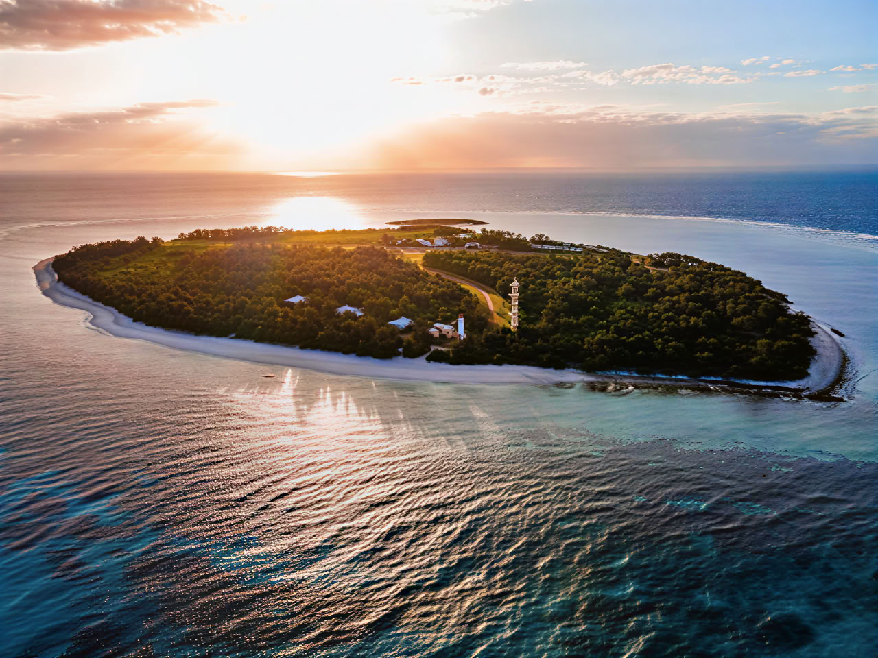 Lady Elliot Island fridykning och exklusiv inbjudan endast