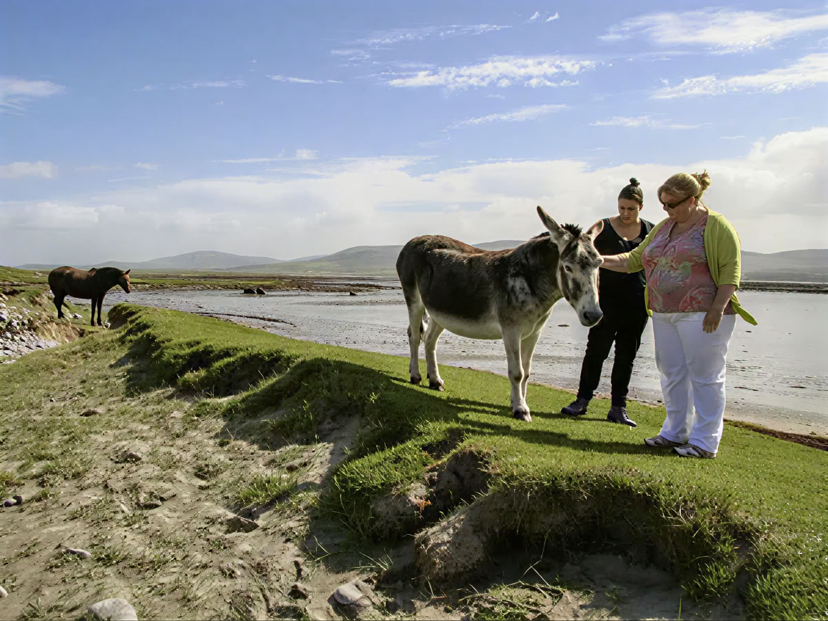 Parretreat i Irland