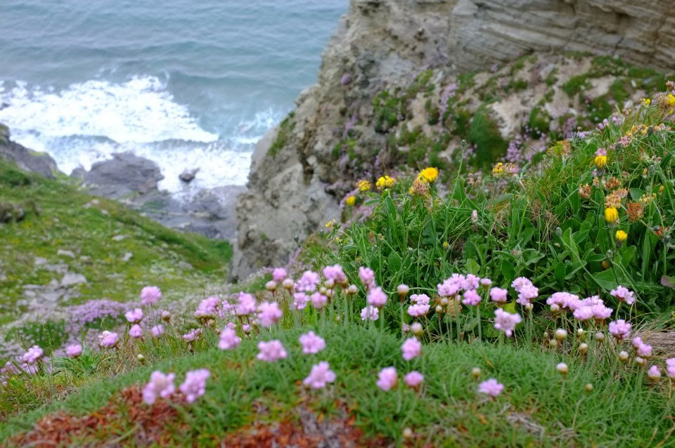 5 nätters meditations- och mindfulnessretreat