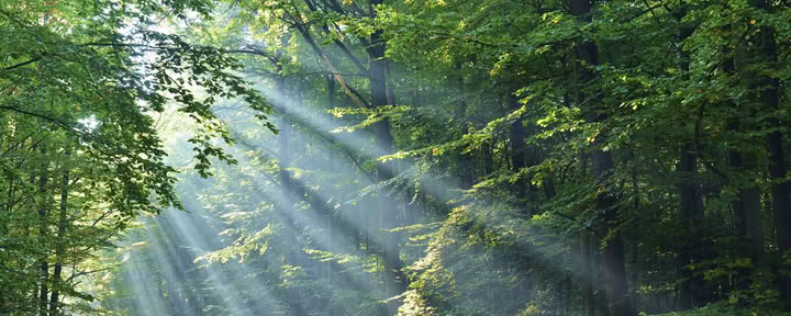 Ängelkortsläsning & Reikihealing