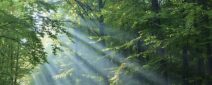 Reiki 2-utbildning för utövare