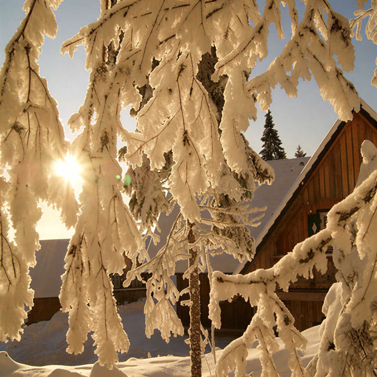 Parretreat på Reinischkogel