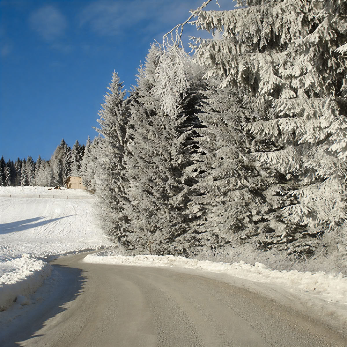 Parretreat på Reinischkogel