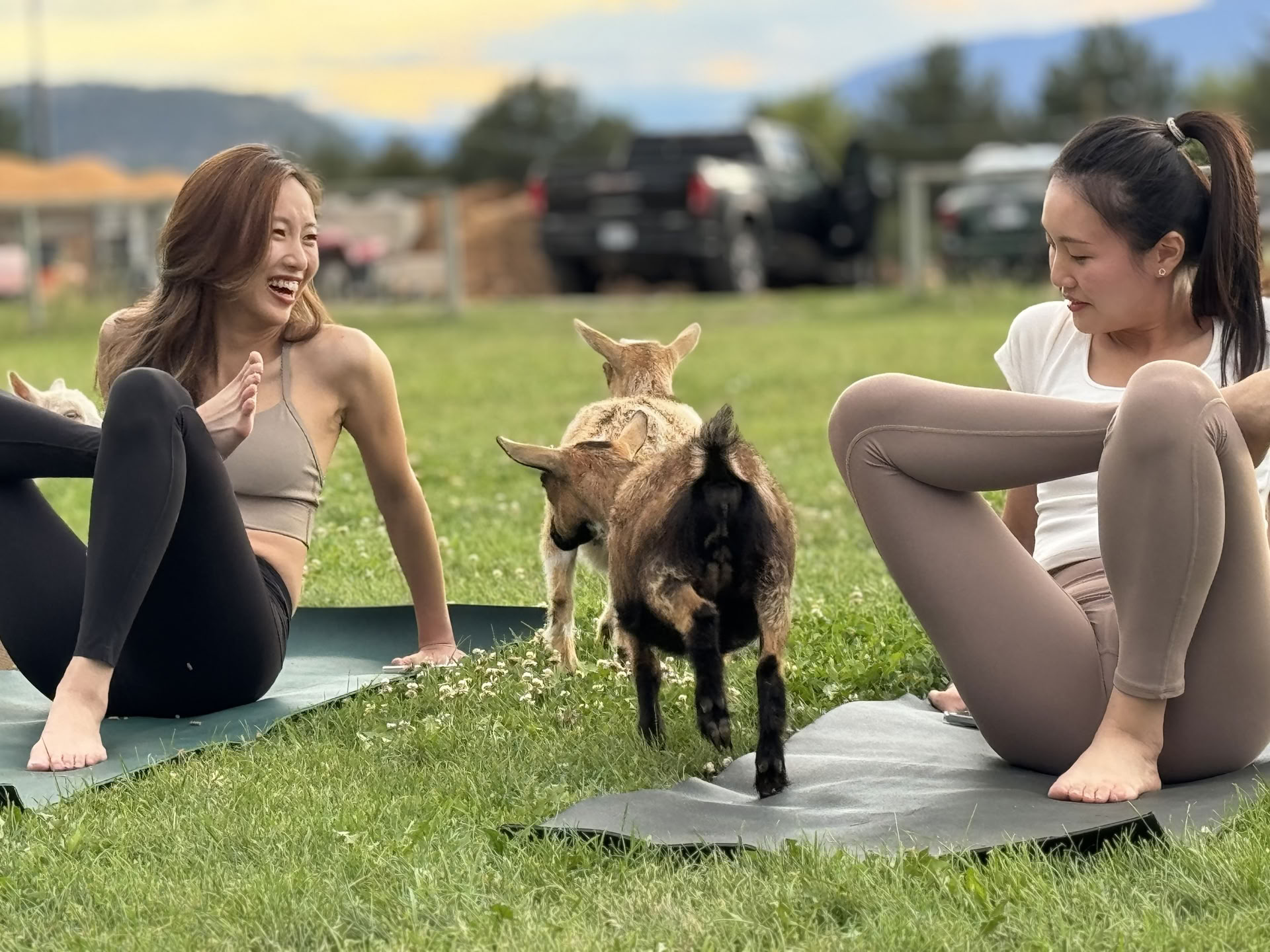 Bryggflöde: Yoga och meditation vid Okanagan Lake!