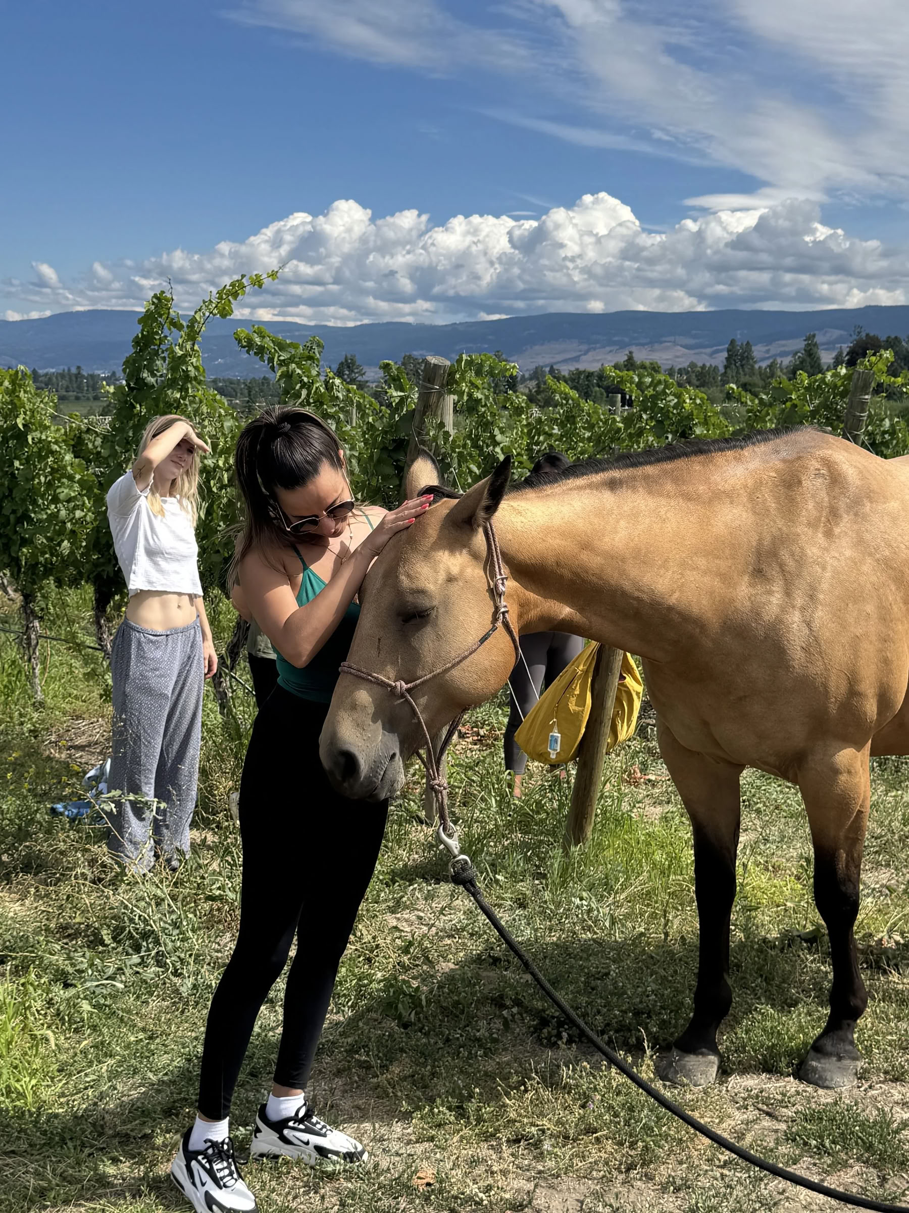 Gudomliga Dolce Vita: Lyxig yogaretreat i hjärtat av Toscana