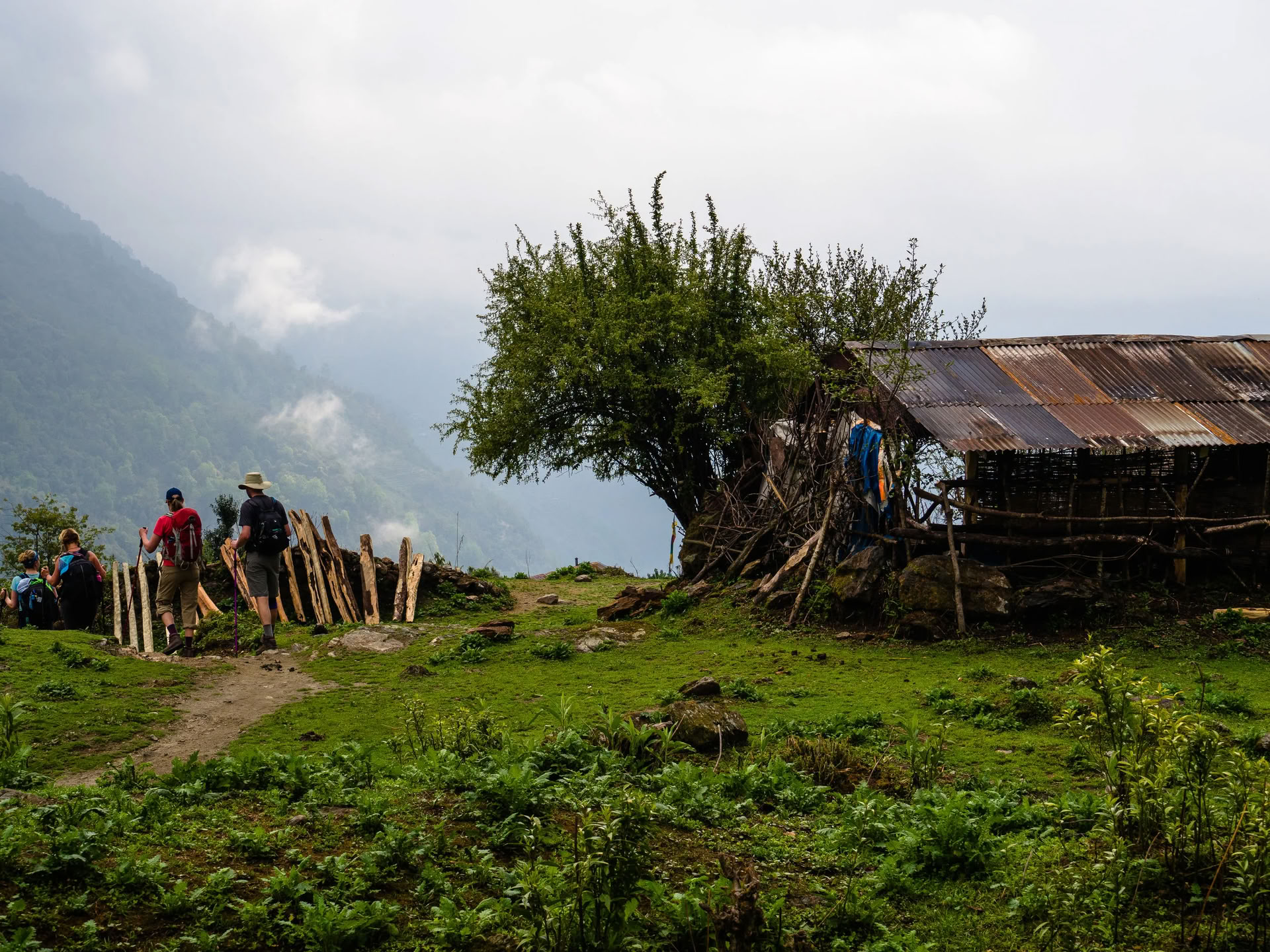 Annapurna basläger