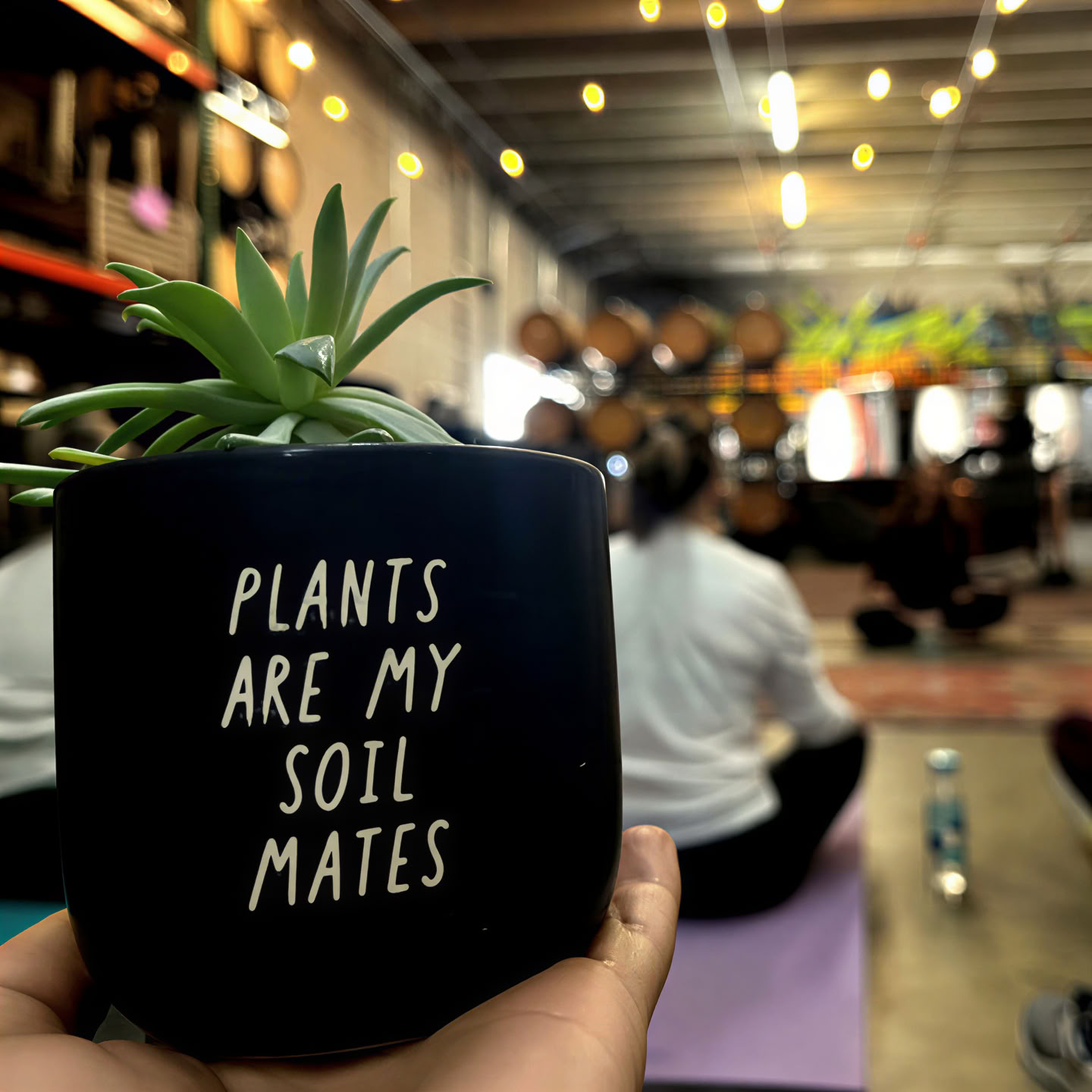 Akvarieyoga Denver