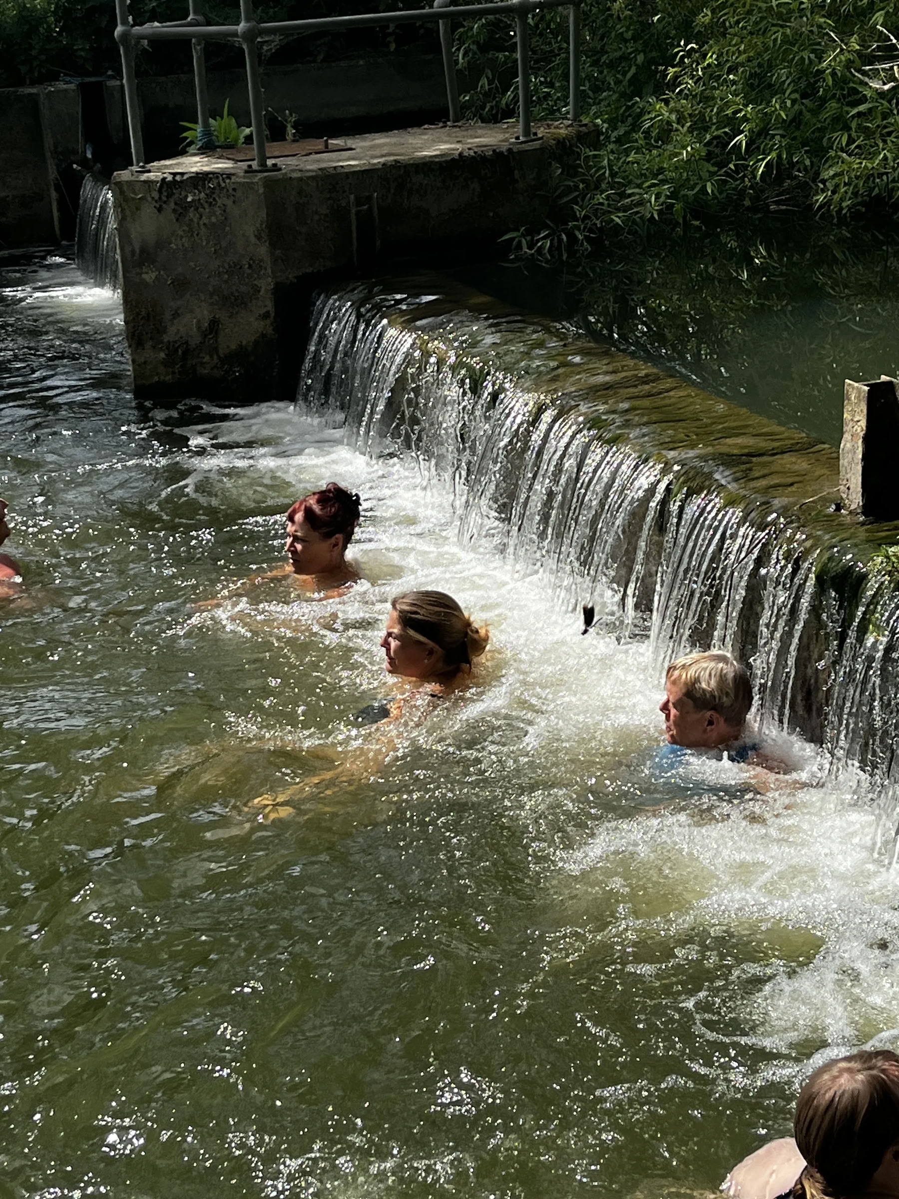 Enwild dagretreat