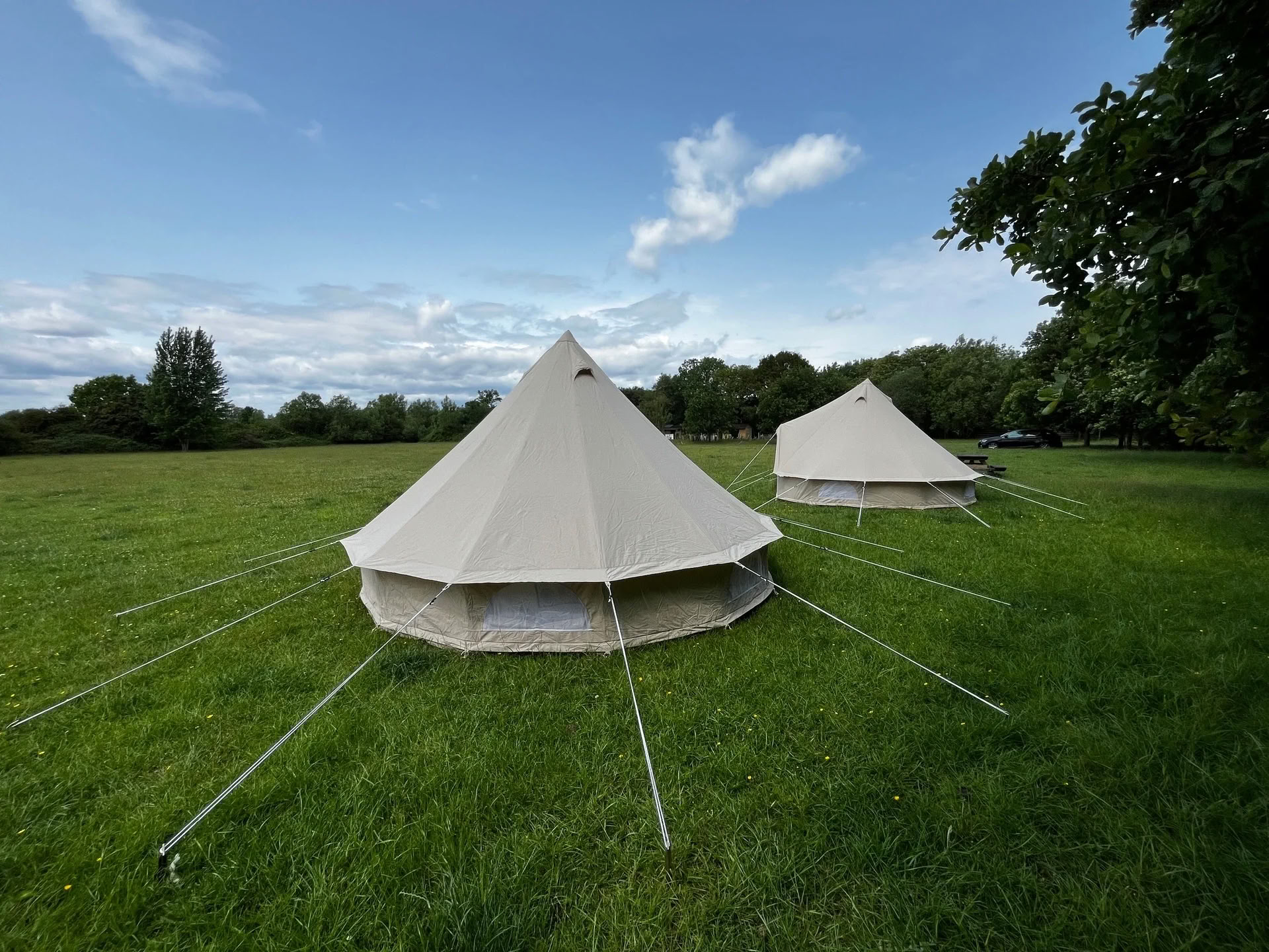 Willowbrook Glamping — en vild retreat