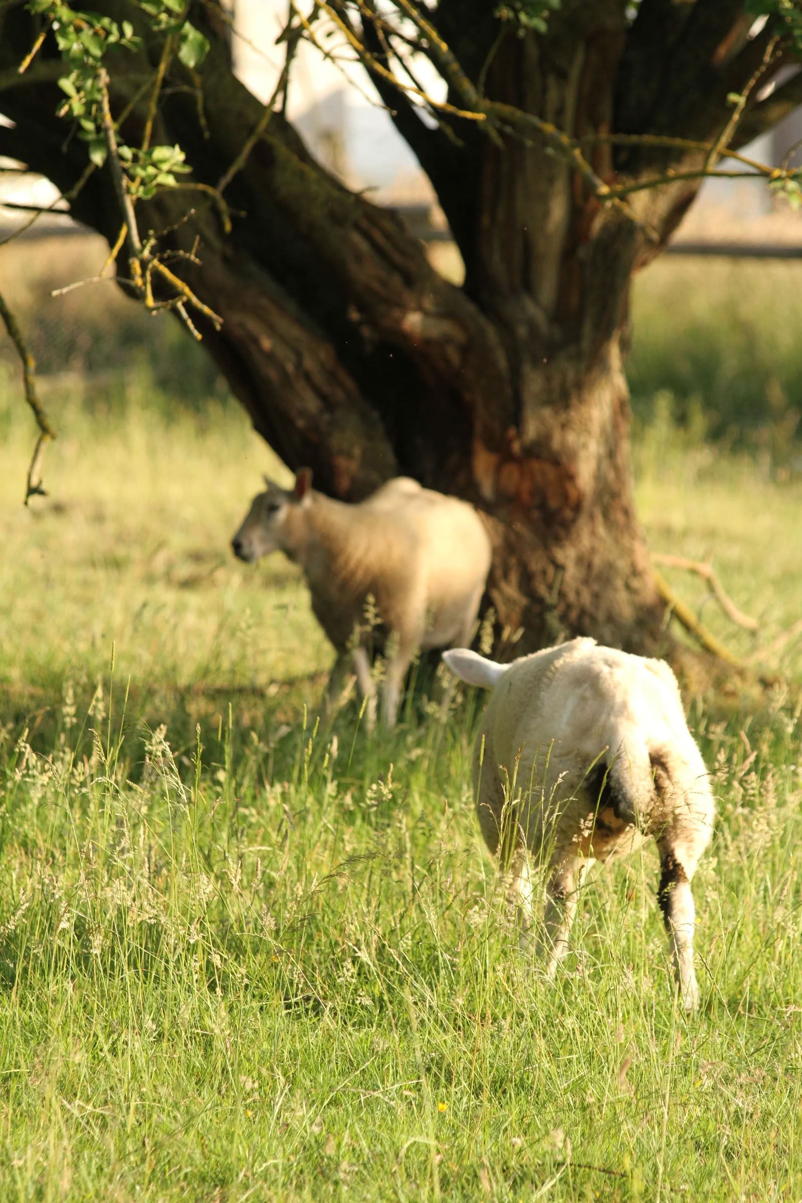 Familjedag i naturen