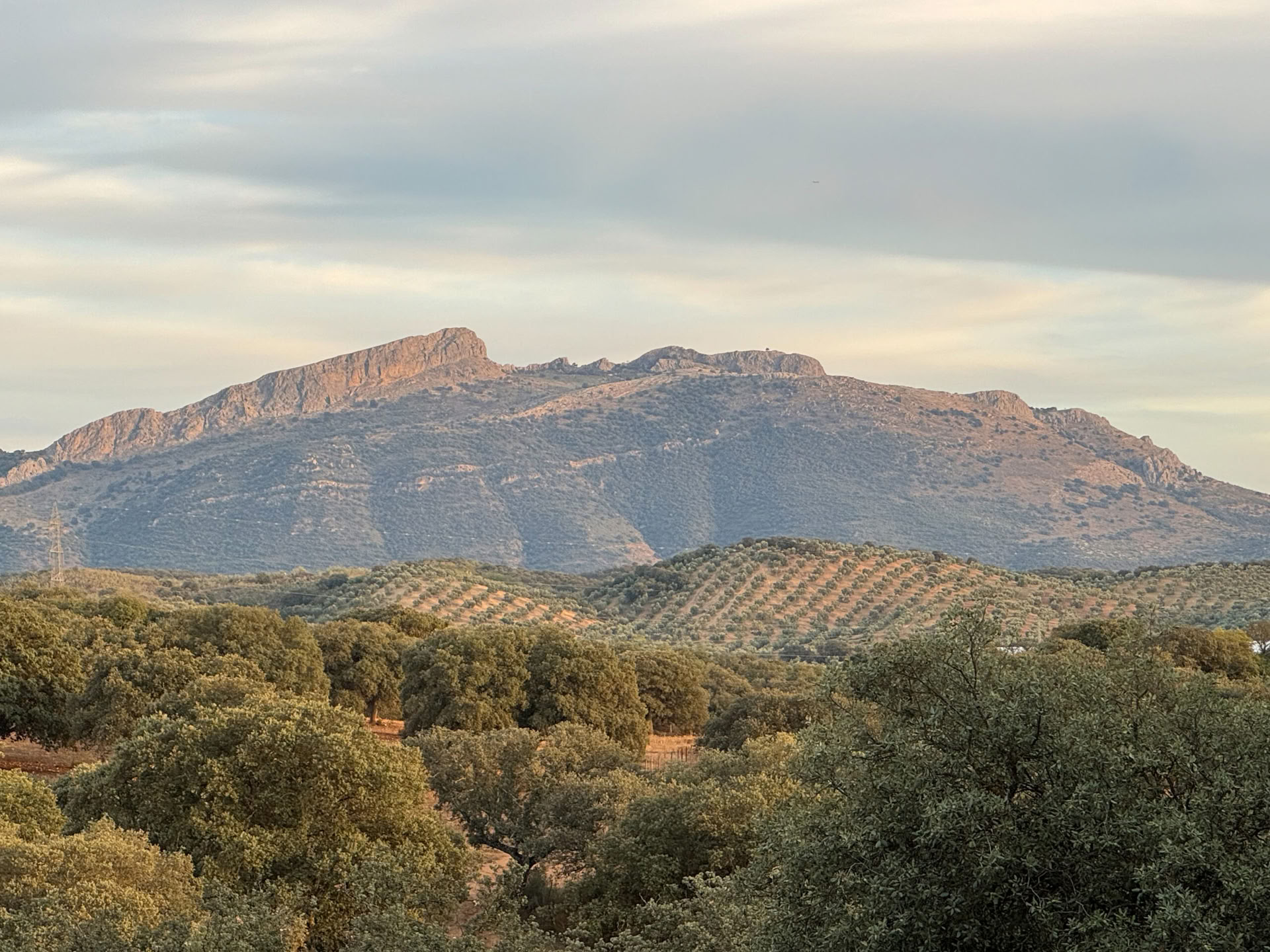 Hyr Finca La Lola