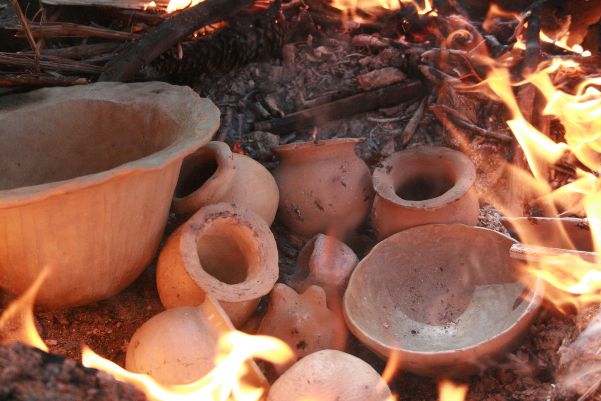 Bågbygge – Ancestrala och druidiska färdigheter helg – 6 till 9 augusti 2026 – SISTA PLATS