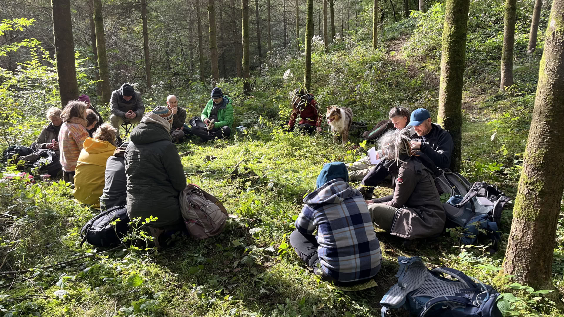 Speglingsträning för naturguider och coacher – 22 till 25 oktober 2026 – SISTA 2 PLATSER