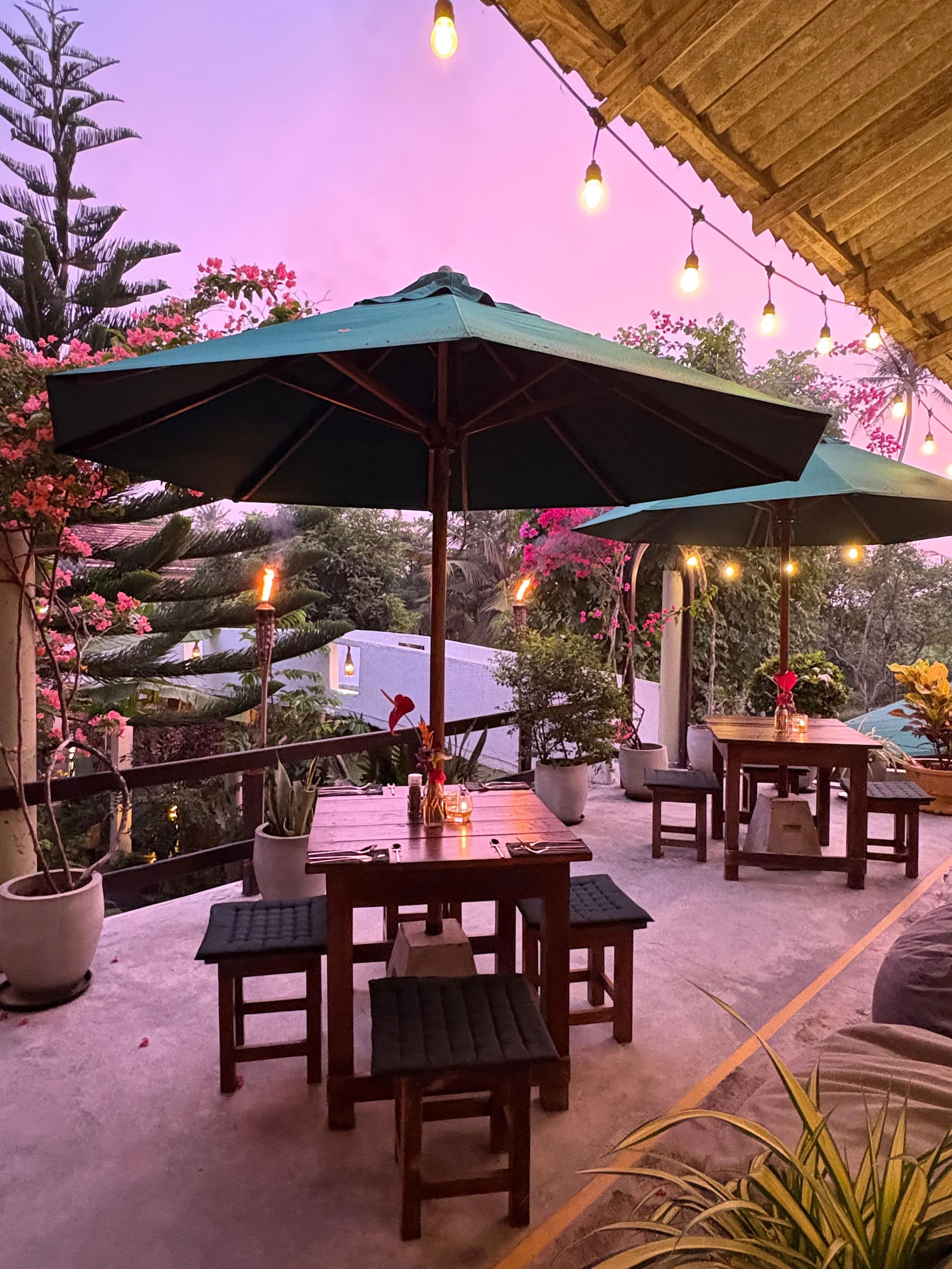 8-dagars intensiv yoga-, andningsövnings- och meditationsretreat Sri Lanka